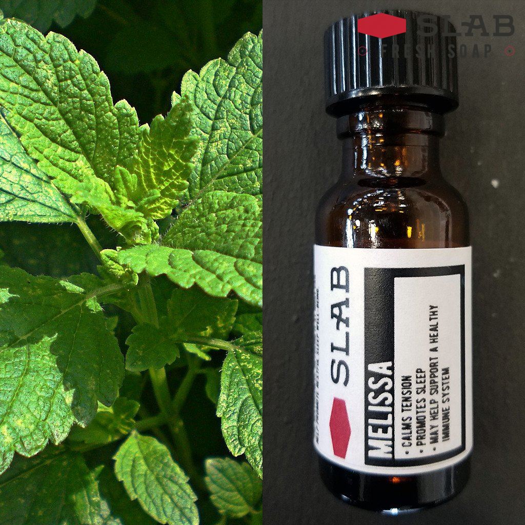 Melissa Oil | Essential Oil | SLAB FRESH SOAP™