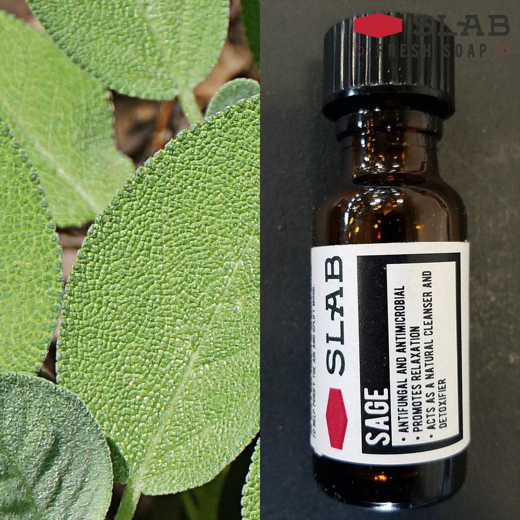 Sage Oil | Essential Oil | SLAB FRESH SOAP™