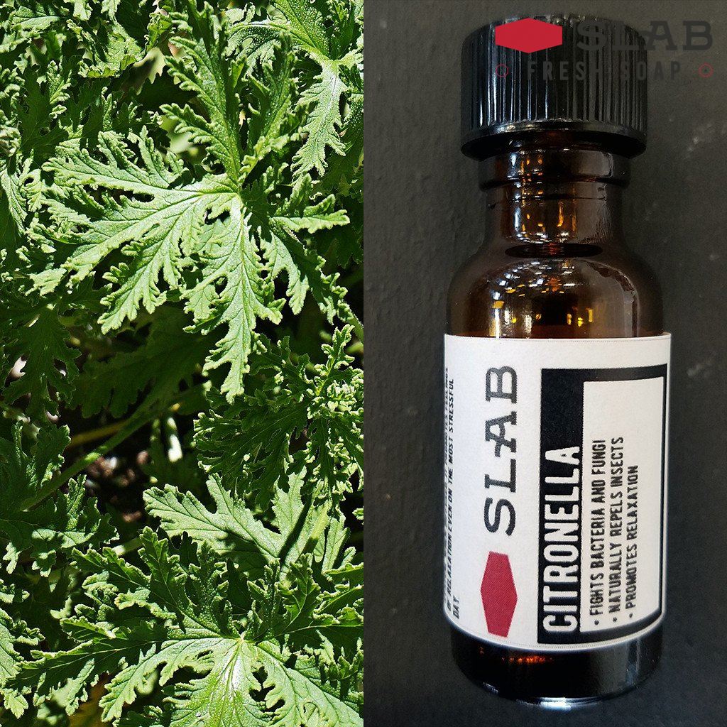 Citronella Oil | Essential Oil | SLAB FRESH SOAP™