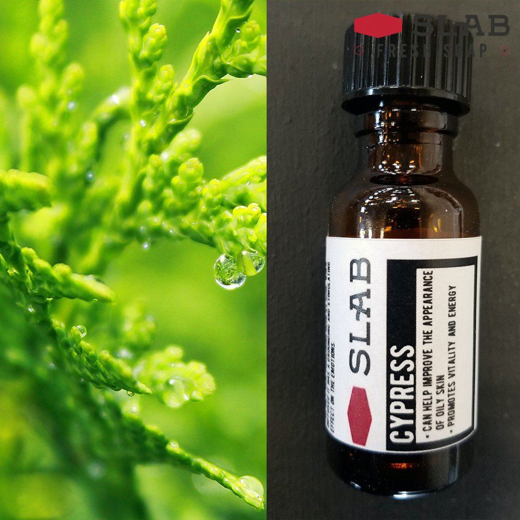 Cypress Oil | Essential Oil | SLAB FRESH SOAP™