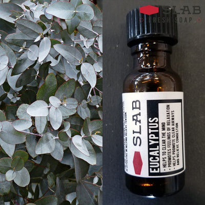 Eucalyptus Oil | Essential Oil | SLAB FRESH SOAP™