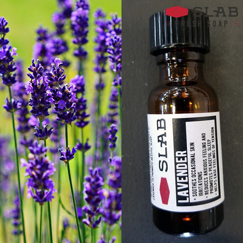lavender plant oil Lavender Oil Uses | Lavender Essential Oil