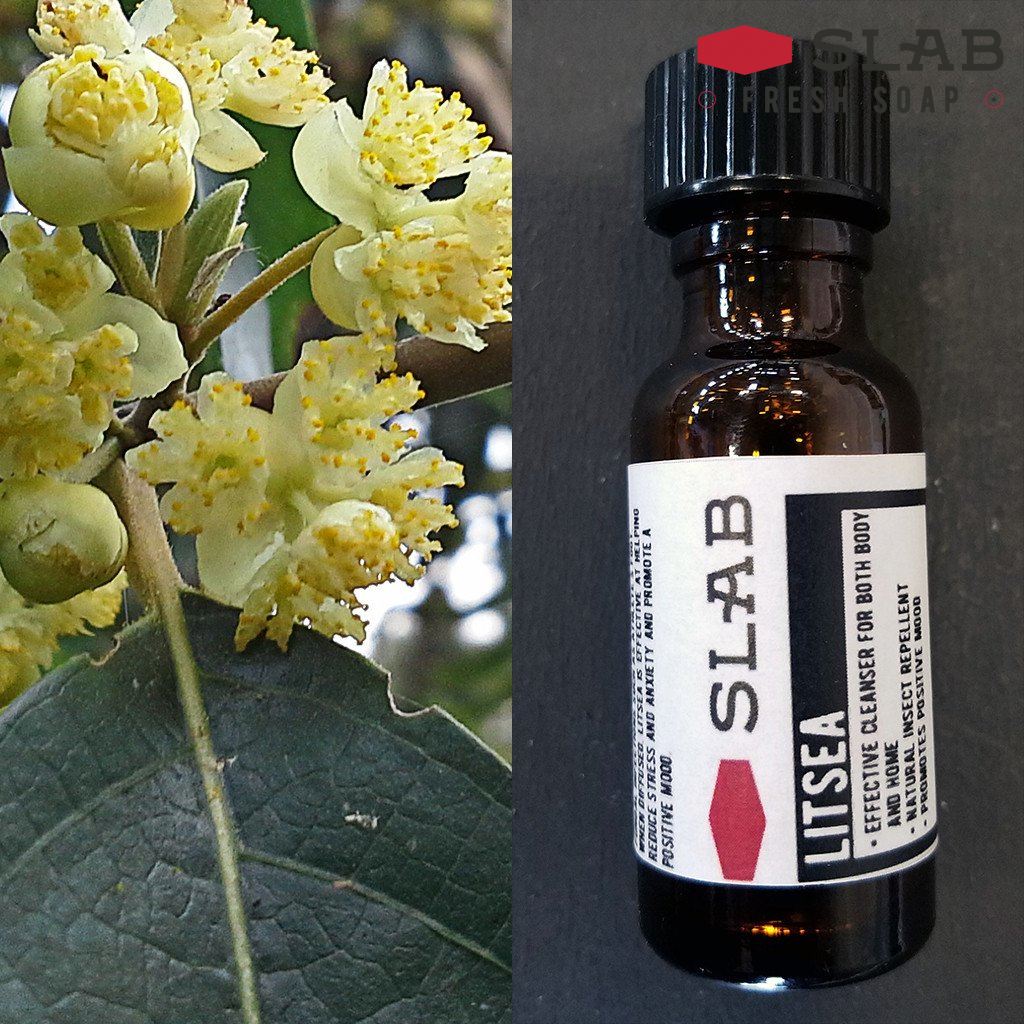 Litsea Oil | Essential Oil | SLAB FRESH SOAP™