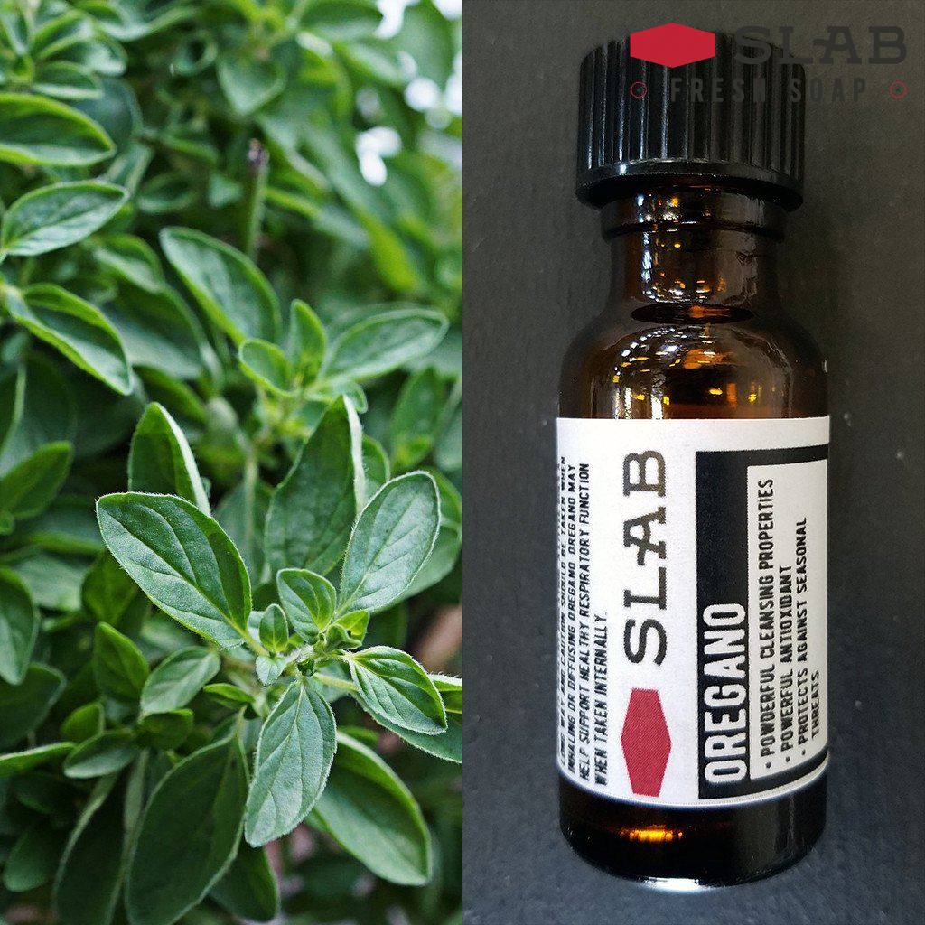 Oregano Oil | Essential Oil | SLAB FRESH SOAP™