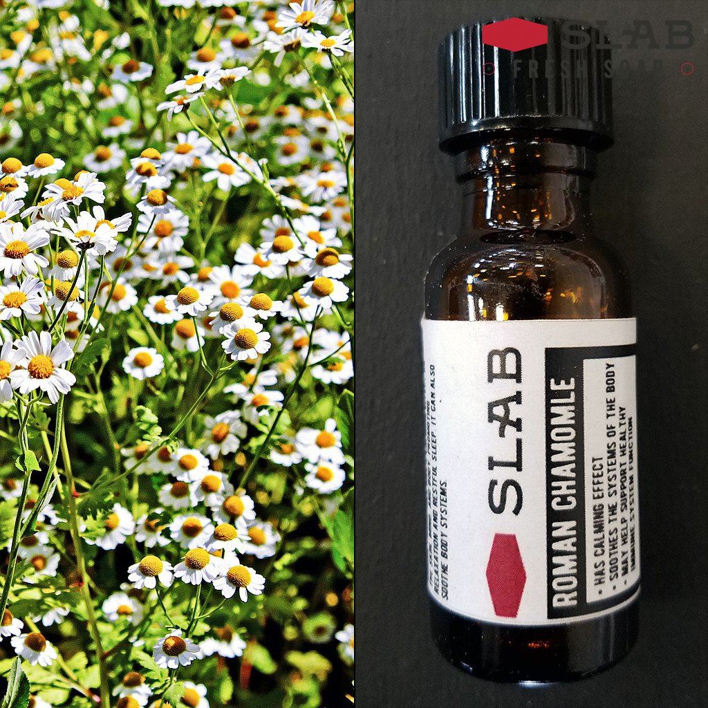 Chamomile Oil | Essential Oil | SLAB FRESH SOAP™