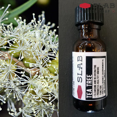 Tea Tree Oil | Essential Oil | SLAB FRESH SOAP™